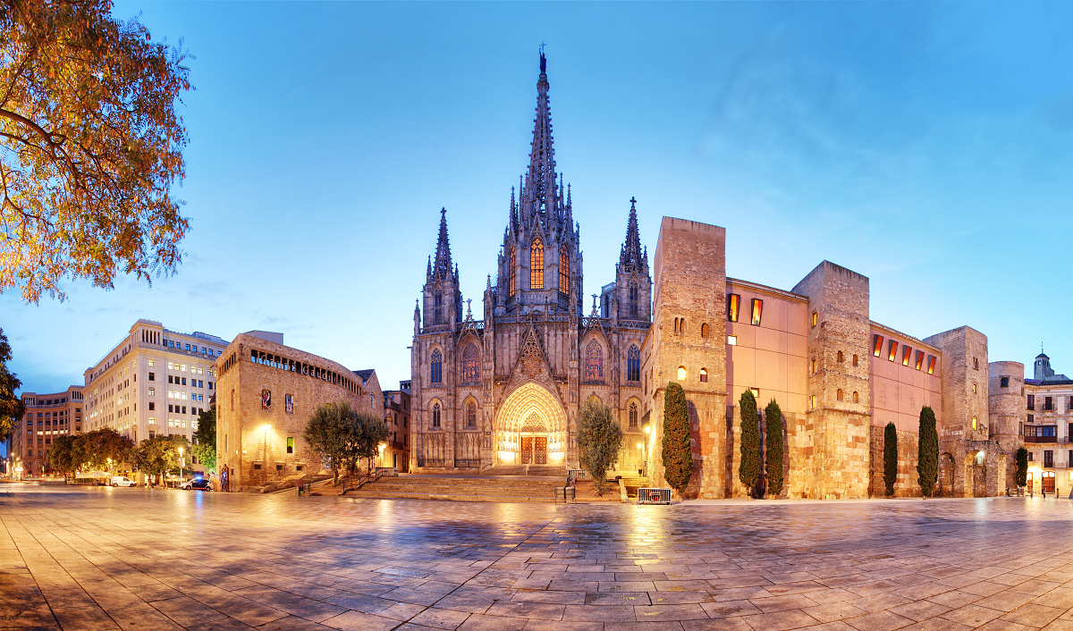 Cathedral of Barcelona at night