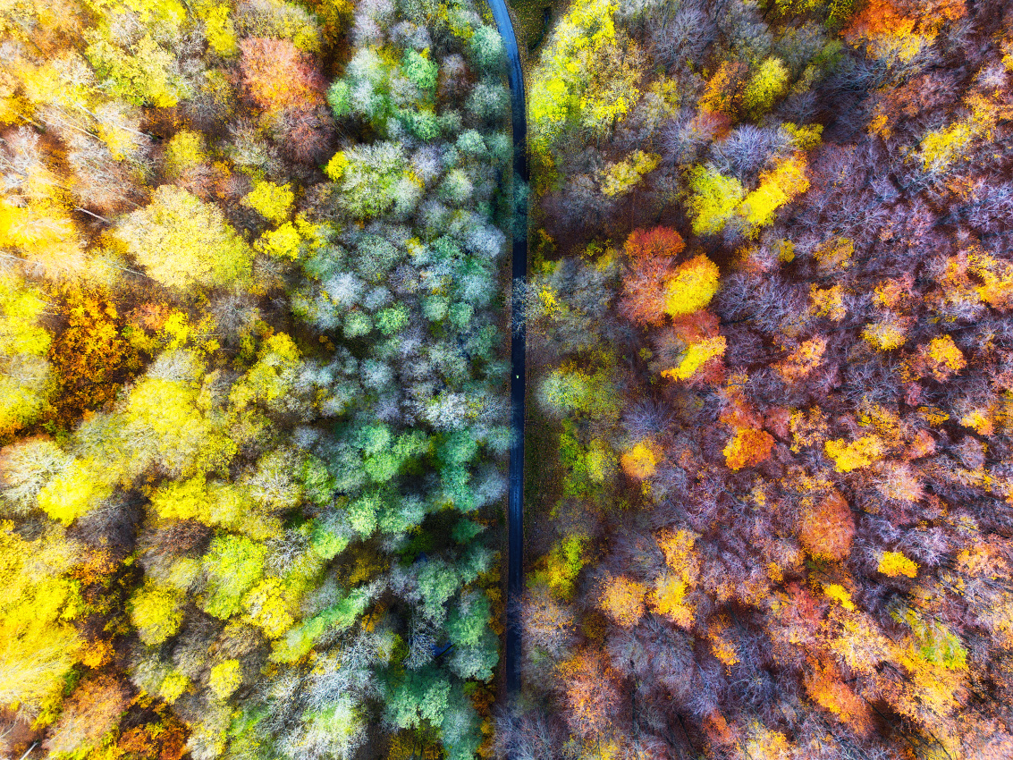 Jeseň v Karpatoch z dronu