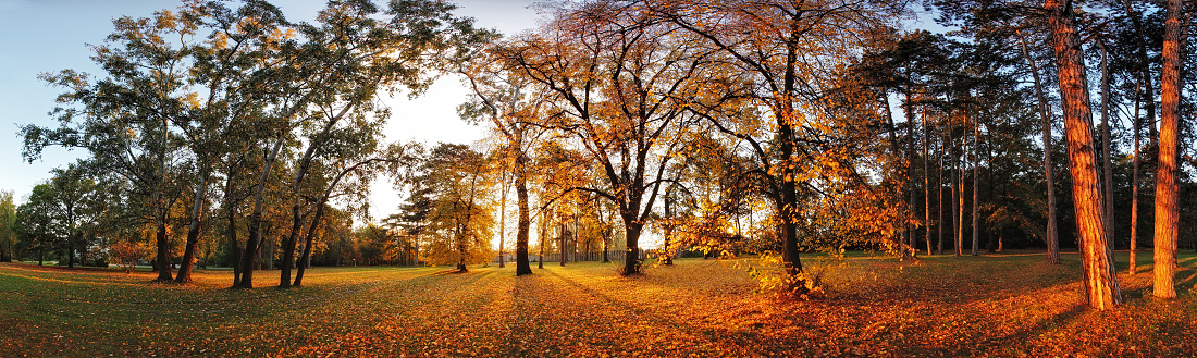 Jesenný park
