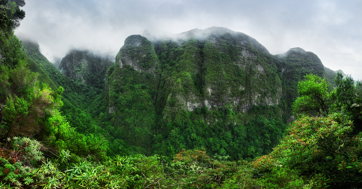 Jungle mountains landscape in Madeira