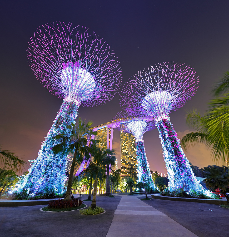 Singapore - Super Tree