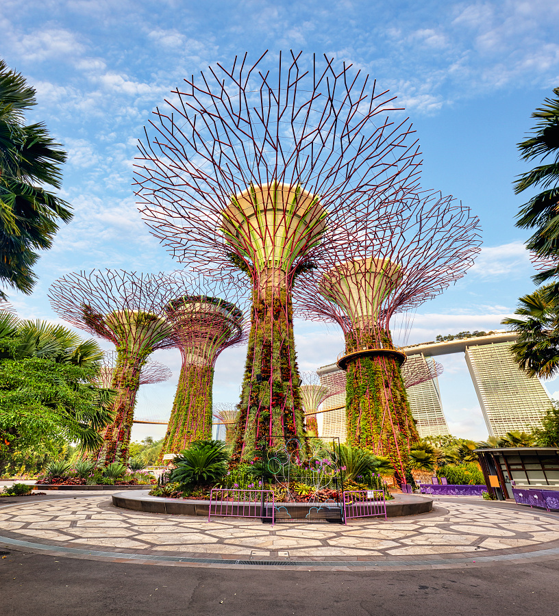 Singapore Supertrees in garden