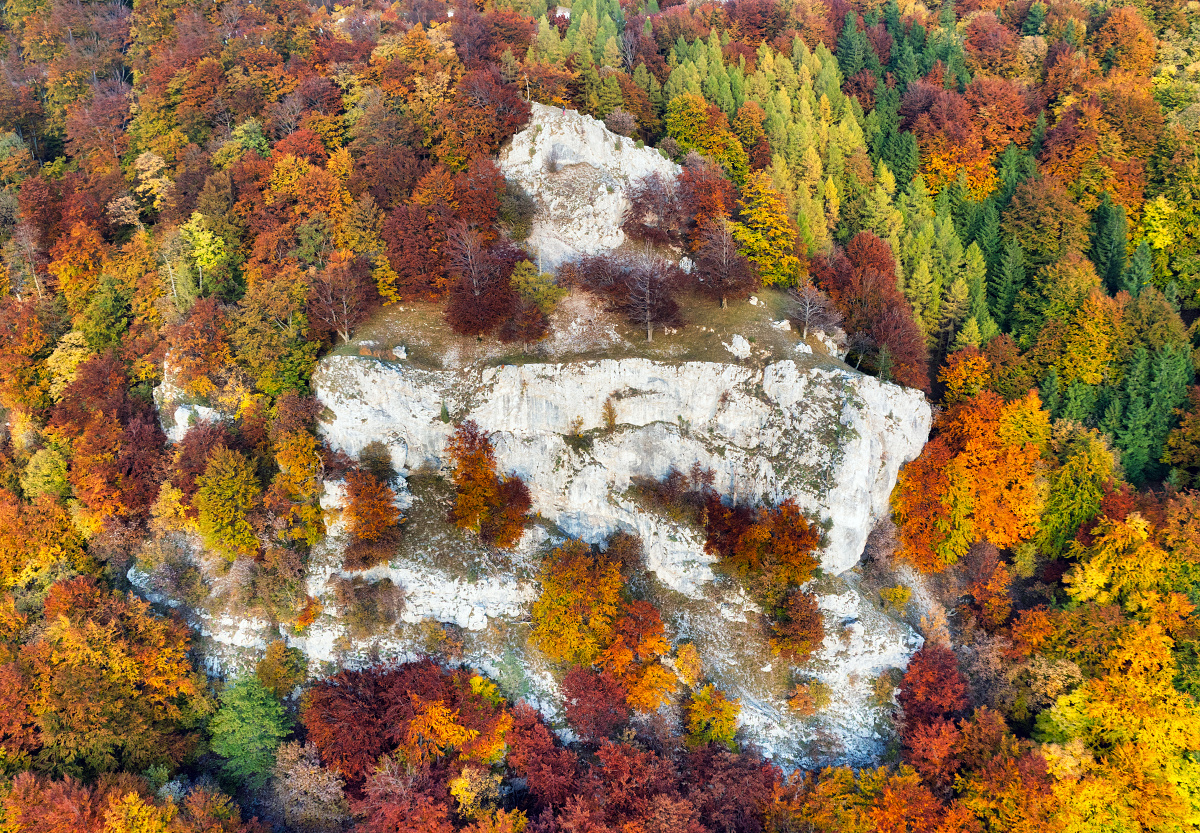 Skaly - Šivarina
