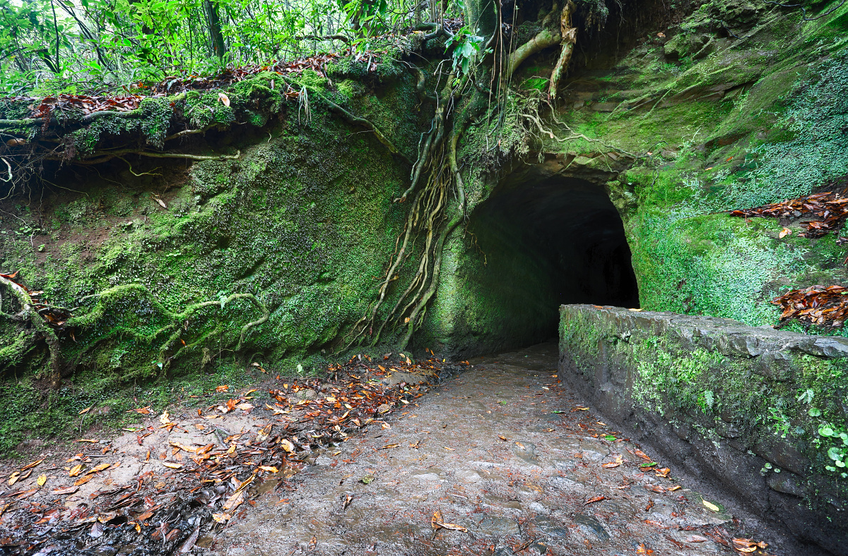 Tunnel on Levada Caldeirão do Verde