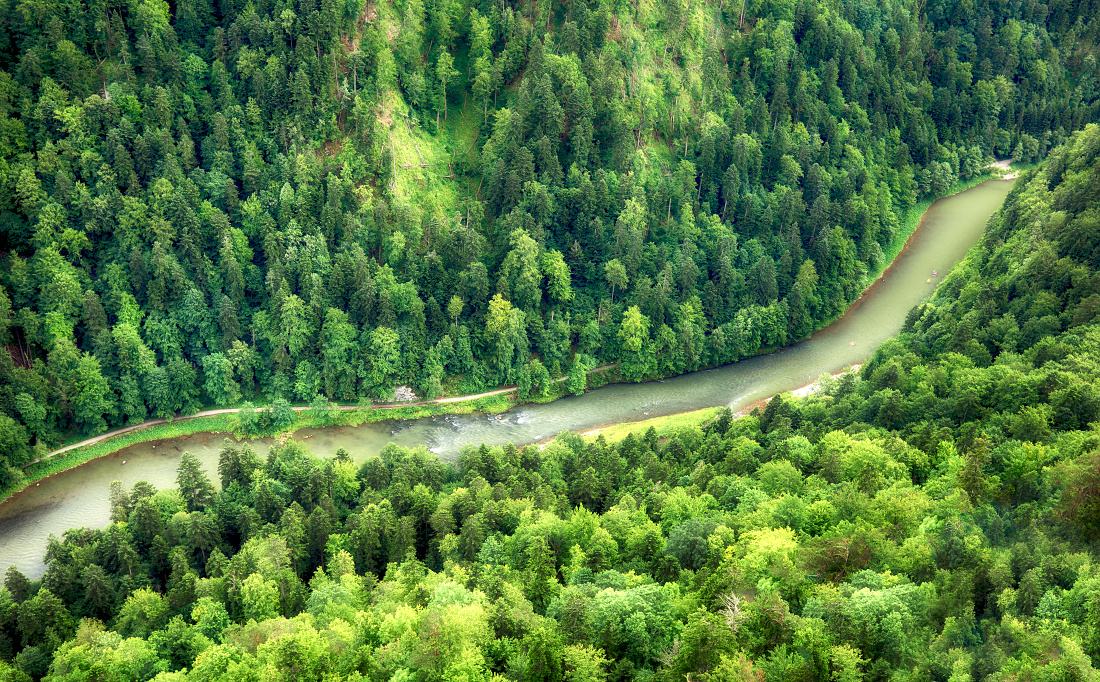 Zelené lesy s Dunajcom