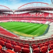Benfica stadium