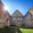Haluzice - Ruiny románskeho kostola