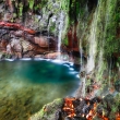 Madeira waterfall - 25 Fontes, Rabacal