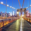 New York City and Brooklyn Bridge