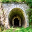 Portál Koprášskeho tunela