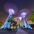 Singapore - Super Tree