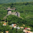 Šomoška z hradu Salgo