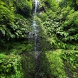 Waterfall in Levada Caldeirao Verde