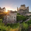 Zrúcanina hradu Divín