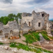 Zrúcanina hradu Tematín